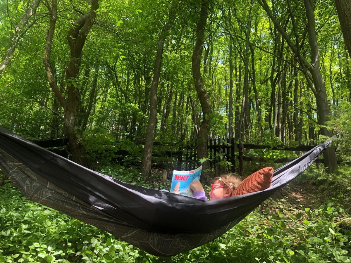 Ferienhaus Waldbaden Im Nationalpark Eifel- Am Bach Schleiden Dış mekan fotoğraf