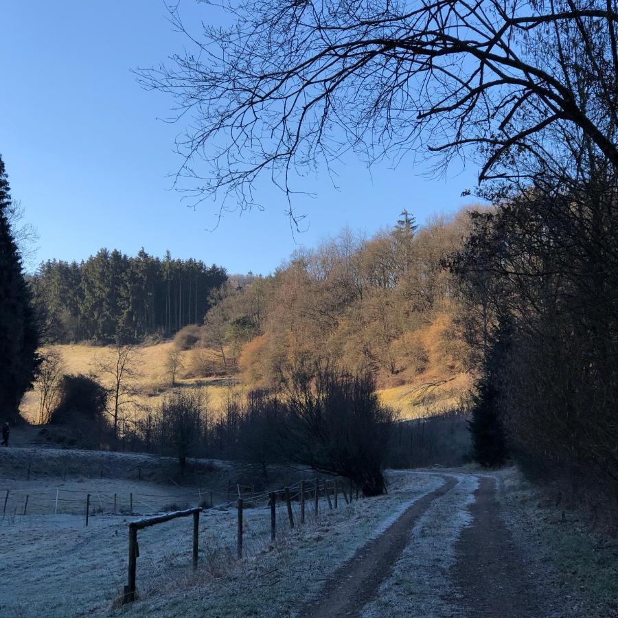Ferienhaus Waldbaden Im Nationalpark Eifel- Am Bach Schleiden Dış mekan fotoğraf