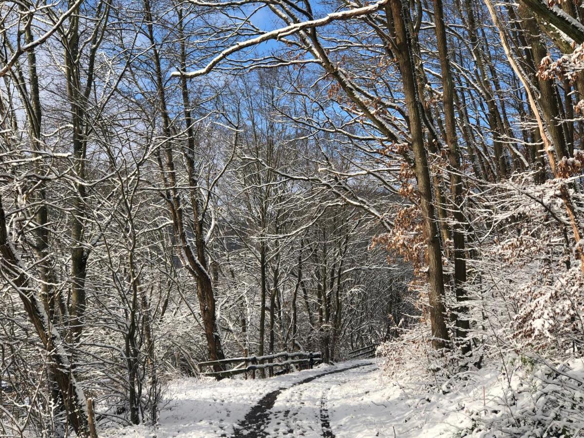 Ferienhaus Waldbaden Im Nationalpark Eifel- Am Bach Schleiden Dış mekan fotoğraf