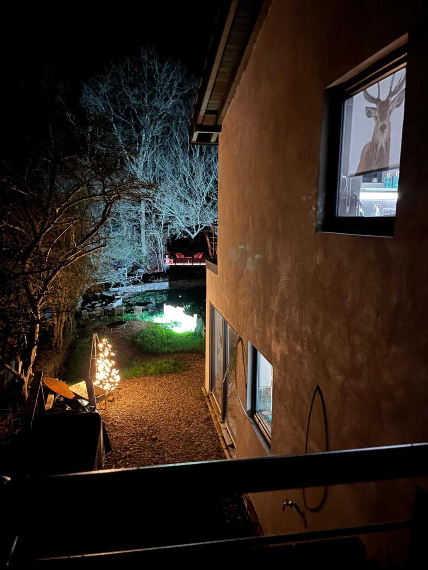 Ferienhaus Waldbaden Im Nationalpark Eifel- Am Bach Schleiden Dış mekan fotoğraf